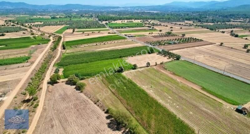 Bodrum Sazköy 8.650m2 Tarla
