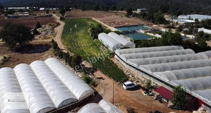Erdemli Kızılen 5 Dönüm Tek Tapu İmarlı Tarla - Görsel 3