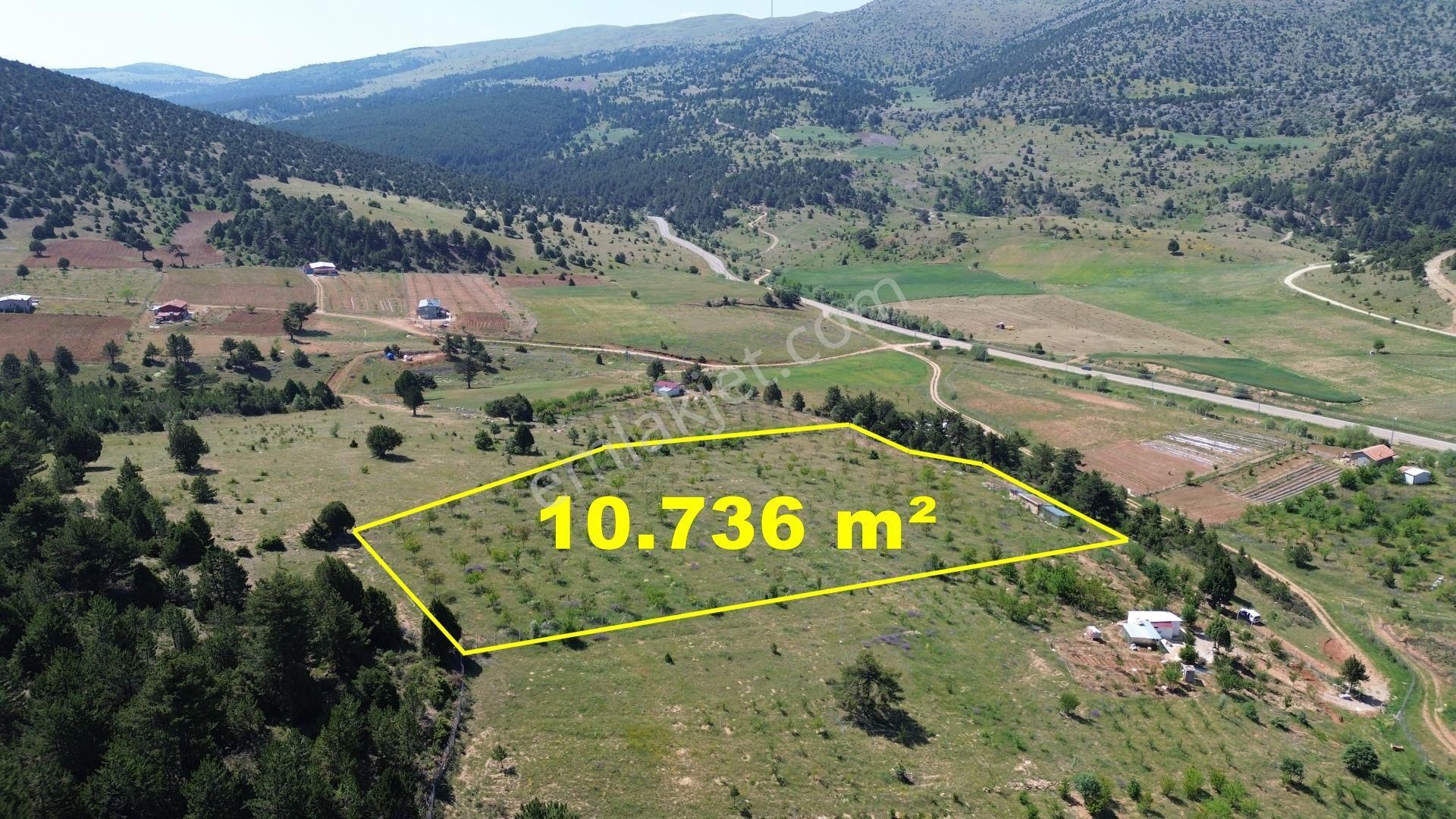 Konya / Ilgın / Gökçeyurt-özlem Mahallesinde 10.736 M² Müstakil Tapulu Tarla