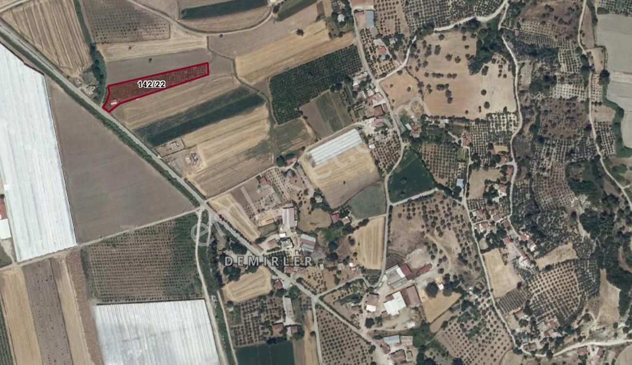 Seydikemer Demirler'de Yerleşik Alanda 4.222m2. Nar Ekili Tarla