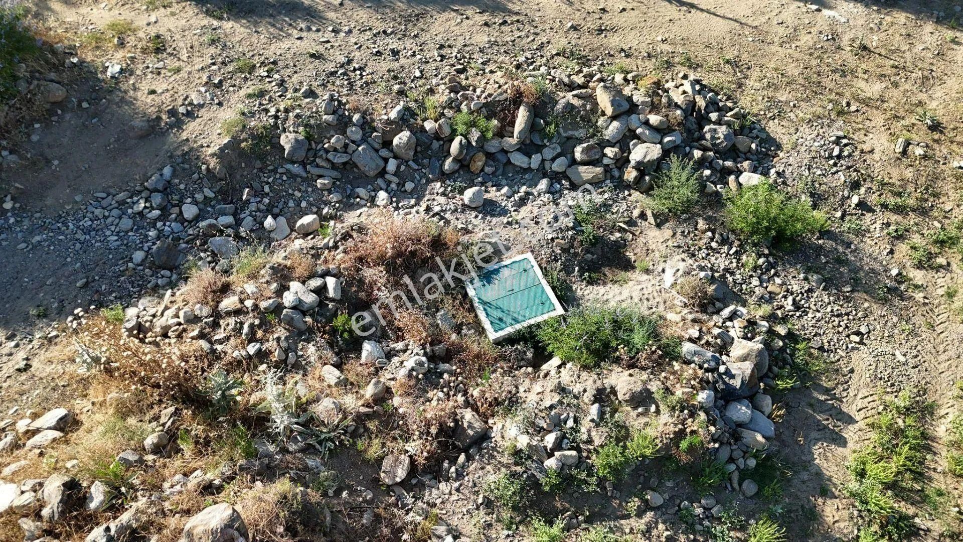 Egelimden Karacasu Çamköyde Elektrik Su Ev Mevcut 23 Dönüm Satılık Süper Zeytinlik - Görsel 14