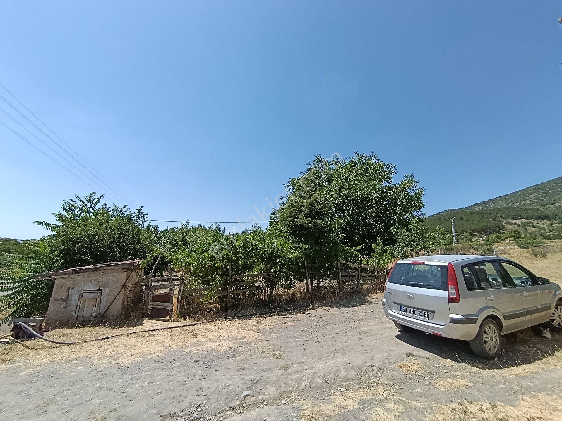 Tokat Merkez Kömeç Köyü Satılık Çiflik