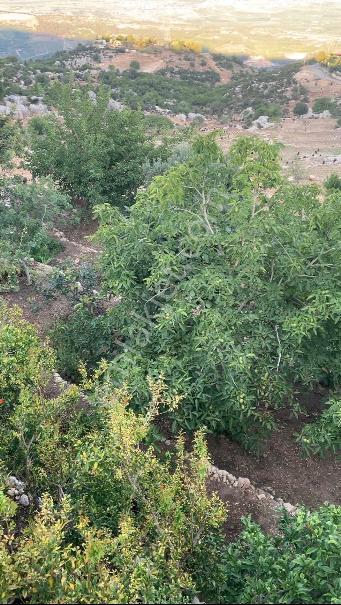 2 Katlı Kargirli Bahçeli Ev - Görsel 8