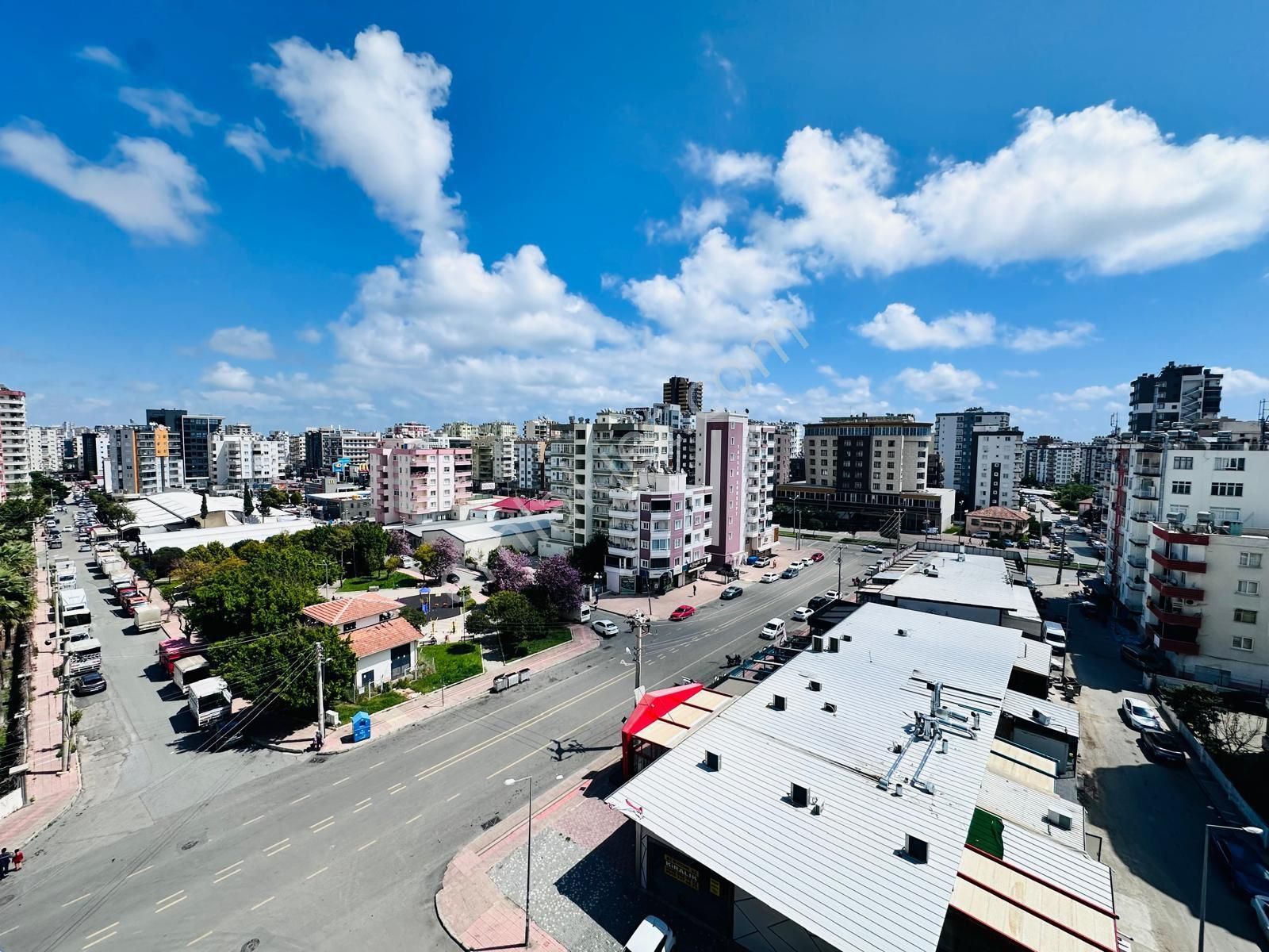 Mersin Mezitlinin Gözdesi
