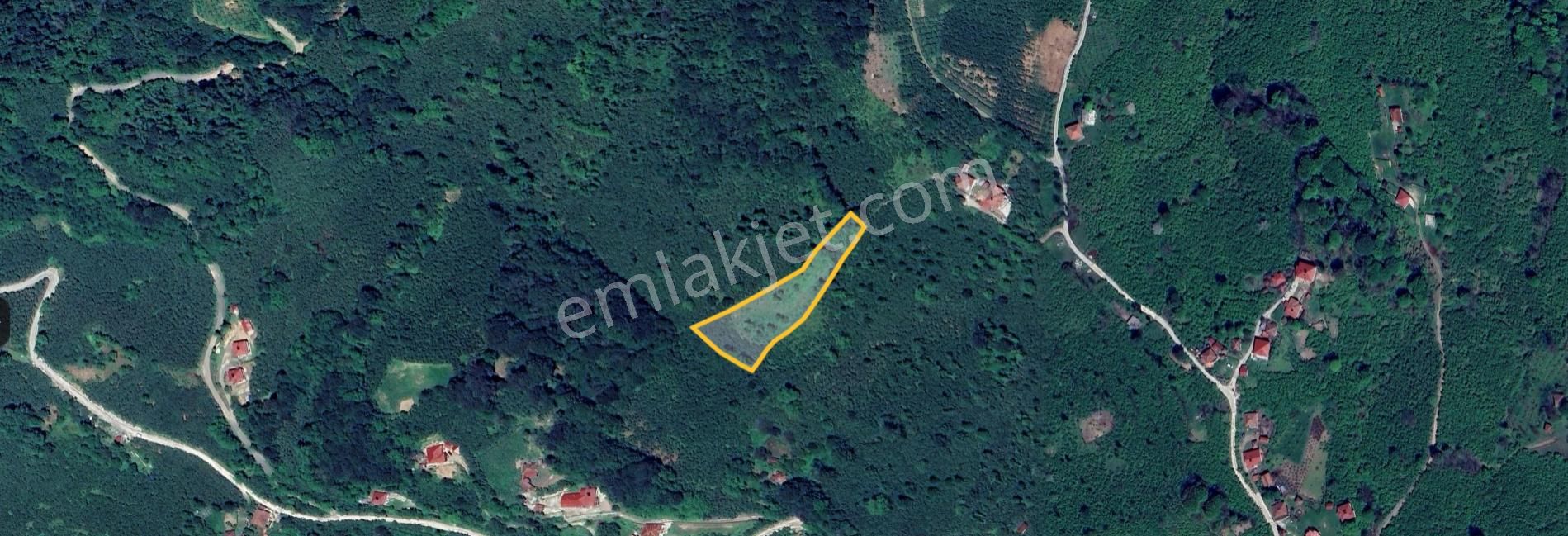 Perşembe Boğazcıkta 4.205 M2 Fındık Bahçesi - Görsel 16