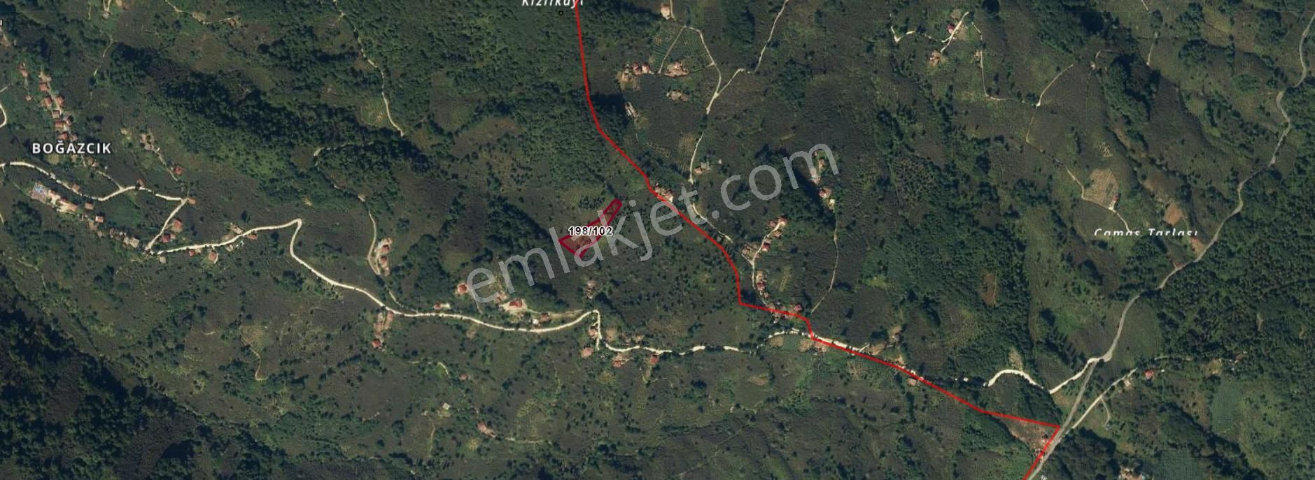 Perşembe Boğazcıkta 4.205 M2 Fındık Bahçesi