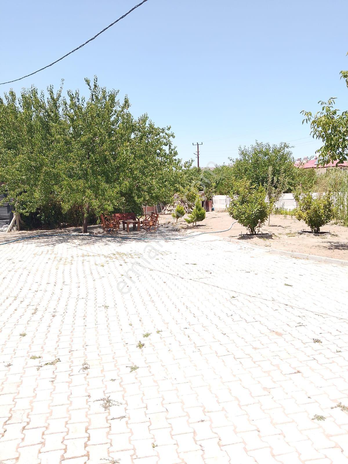 Hoğu Yurtbaşında Satılık Bahçe - Görsel 24