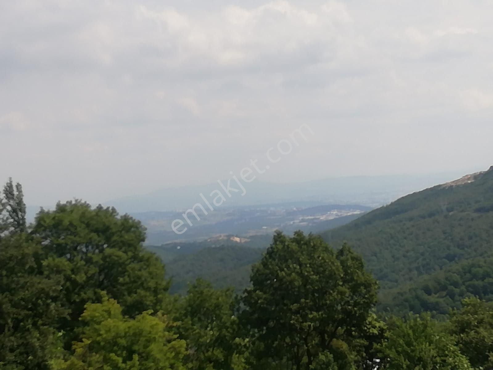 Maksempınar Mah 2401m2 Hobi Bahçesine Uygun Tektapu Satlık Tarla