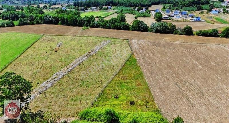 Kaynarca Birlik Mahallesinde Satılık 1 Dönüm %40 İmarlı Arsa - Görsel 13