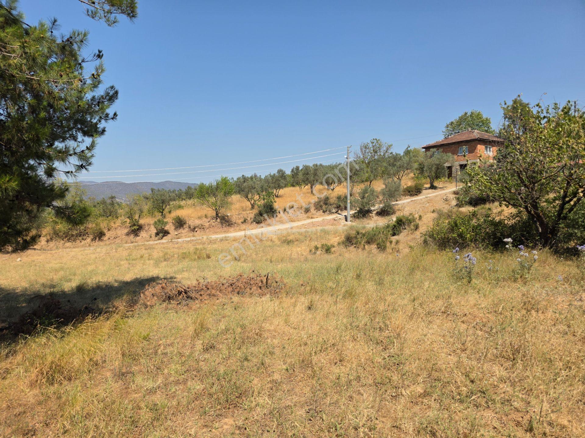 İmara 500 Metre Osmaneli Merkezde 3.786 M2 Yatırımlık Bahçe - Görsel 13