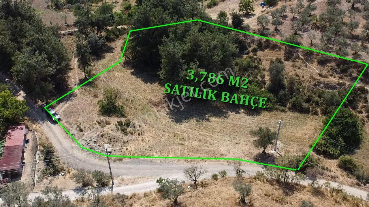 İmara 500 Metre Osmaneli Merkezde 3.786 M2 Yatırımlık Bahçe - Görsel 3