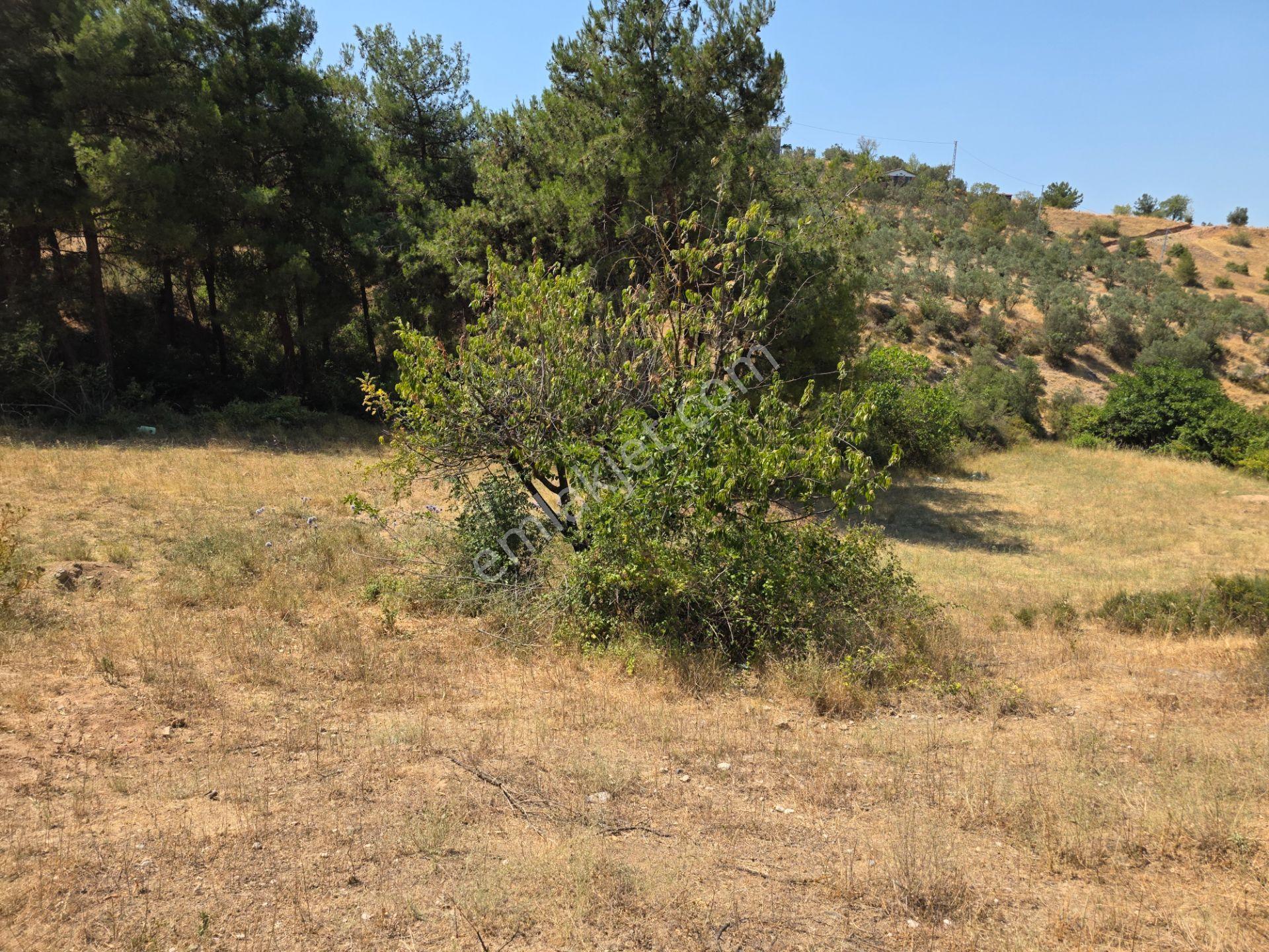 İmara 500 Metre Osmaneli Merkezde 3.786 M2 Yatırımlık Bahçe - Görsel 7
