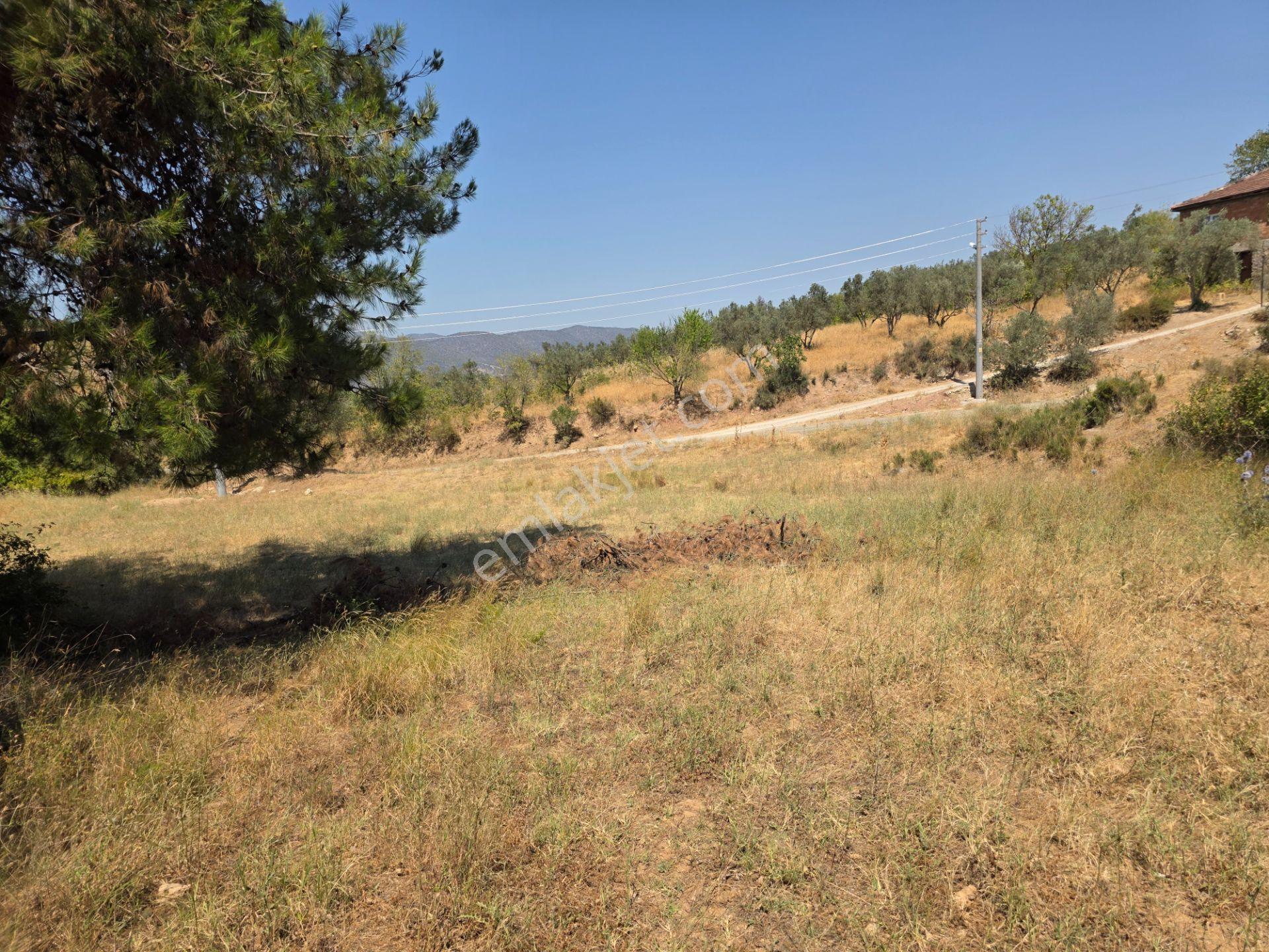 İmara 500 Metre Osmaneli Merkezde 3.786 M2 Yatırımlık Bahçe - Görsel 25
