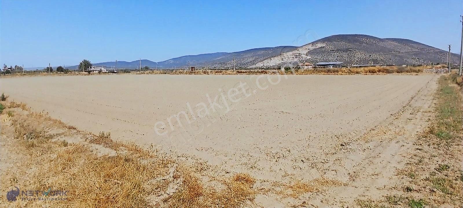 Milas Yaşyer'de 2945 M2 Bereketli Yatırım Fırsatı!