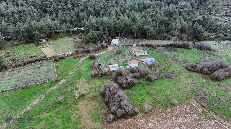 Doğa Ve Huzurun Buluştuğu Eşsiz Yatırım Fırsatı! 990 M2 Tarla