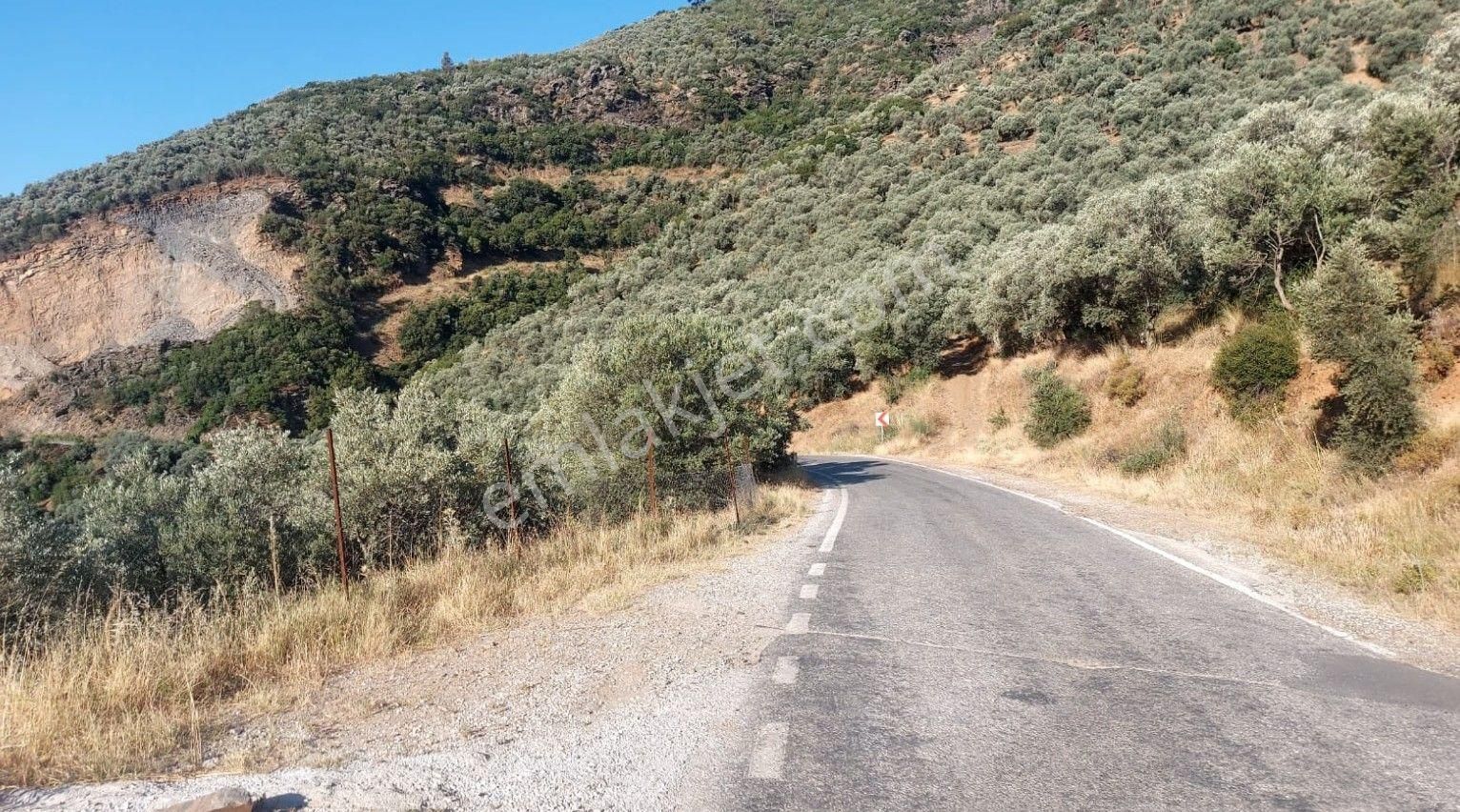 İzmir Bayındır'da Müstakil Tapulu Ana Yola Cepheli Arazi