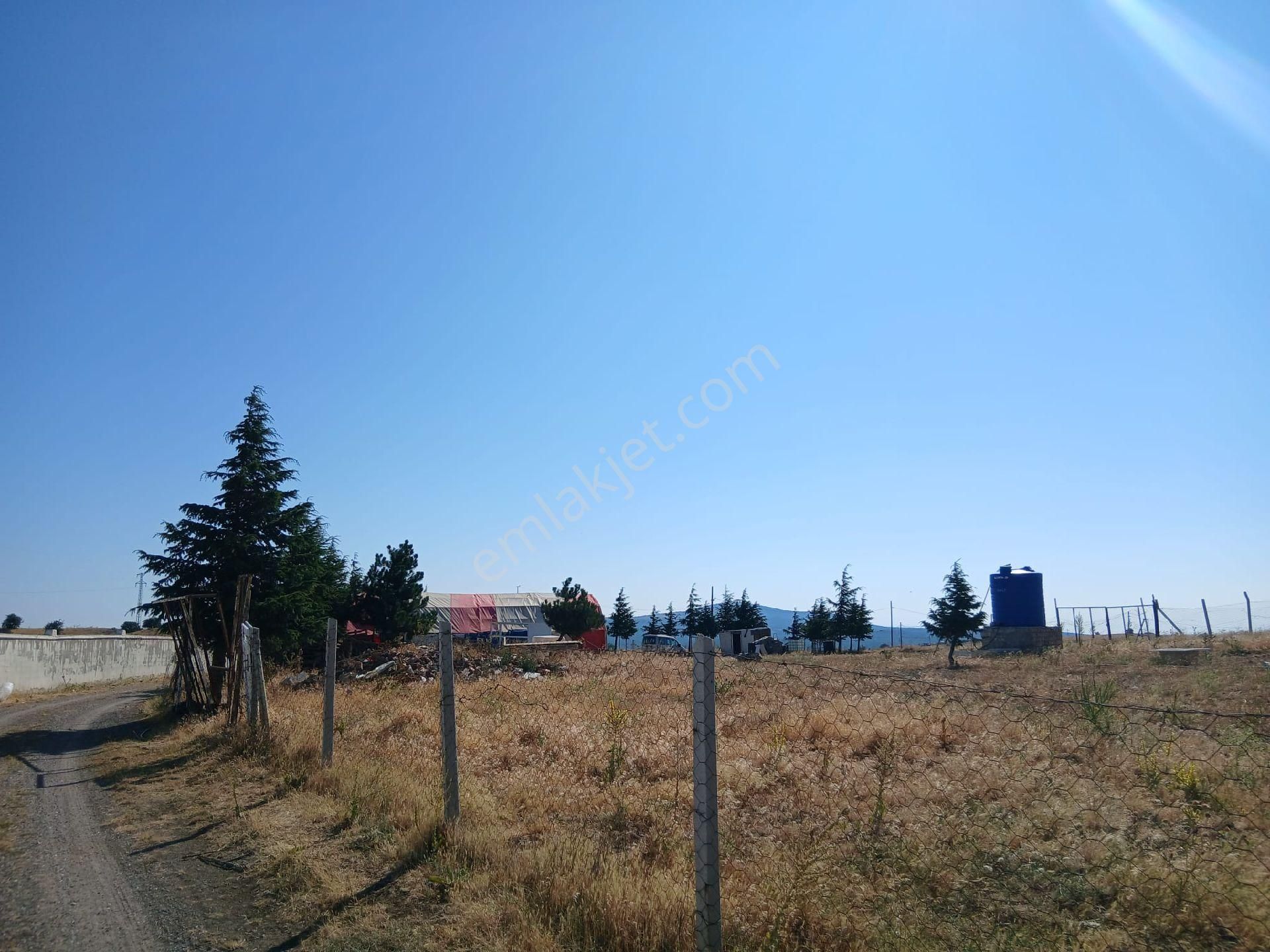 Ruhsatlı Evi Olan Büyük Bahçeli Ciflik - Görsel 3