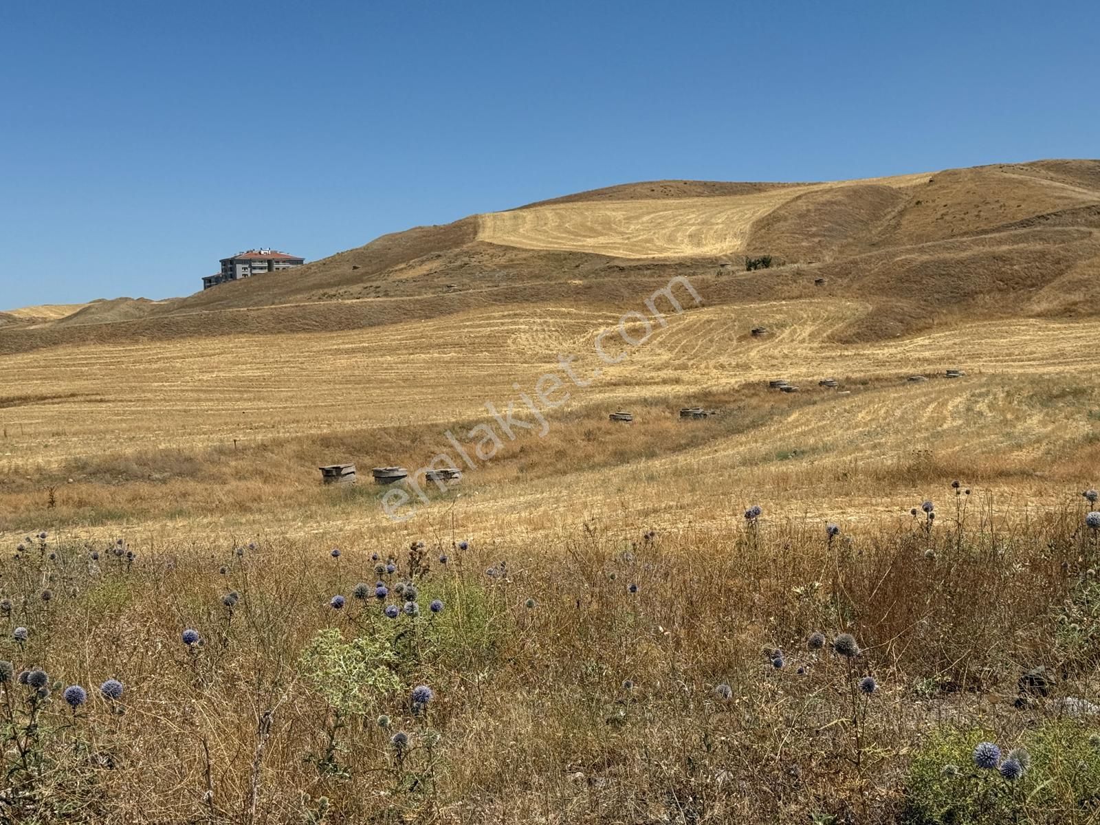 Kusunlar İmarda Tek Tapu 1000 M2 Konut Arsası - Görsel 18