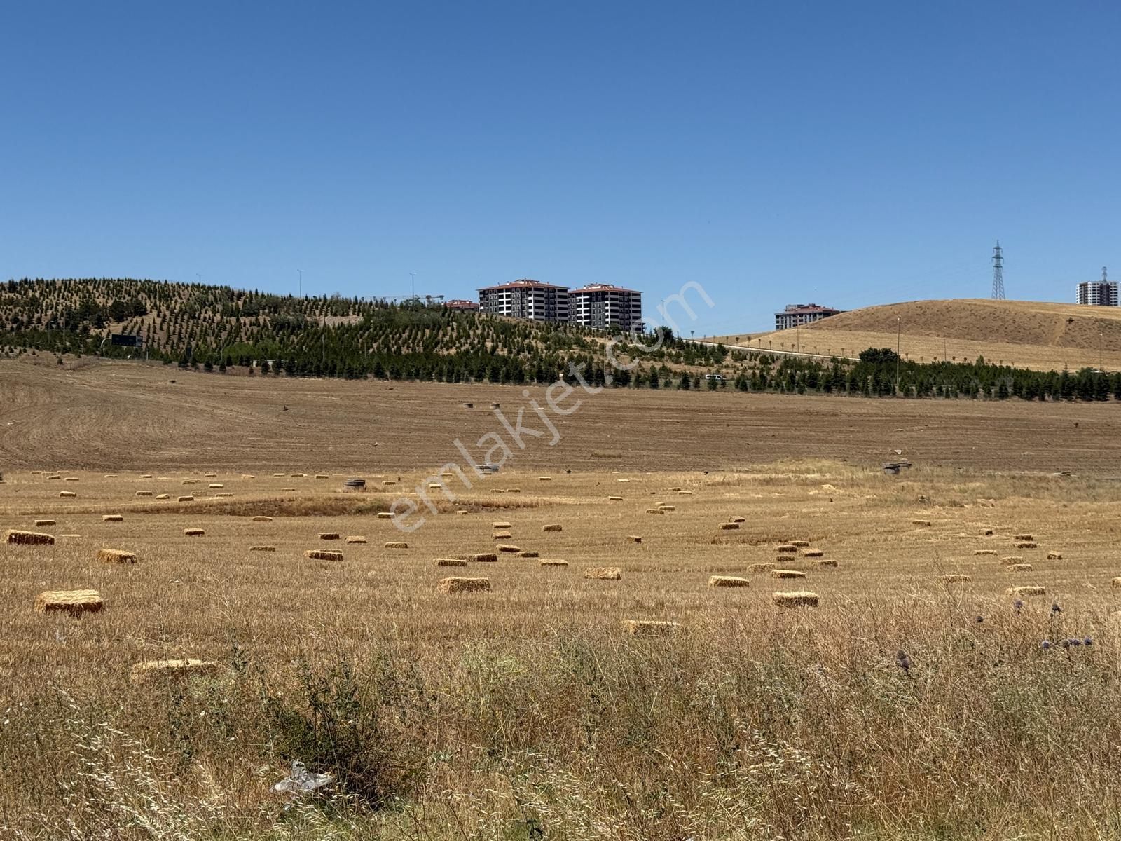 Kusunlar İmarda Tek Tapu 1000 M2 Konut Arsası - Görsel 19