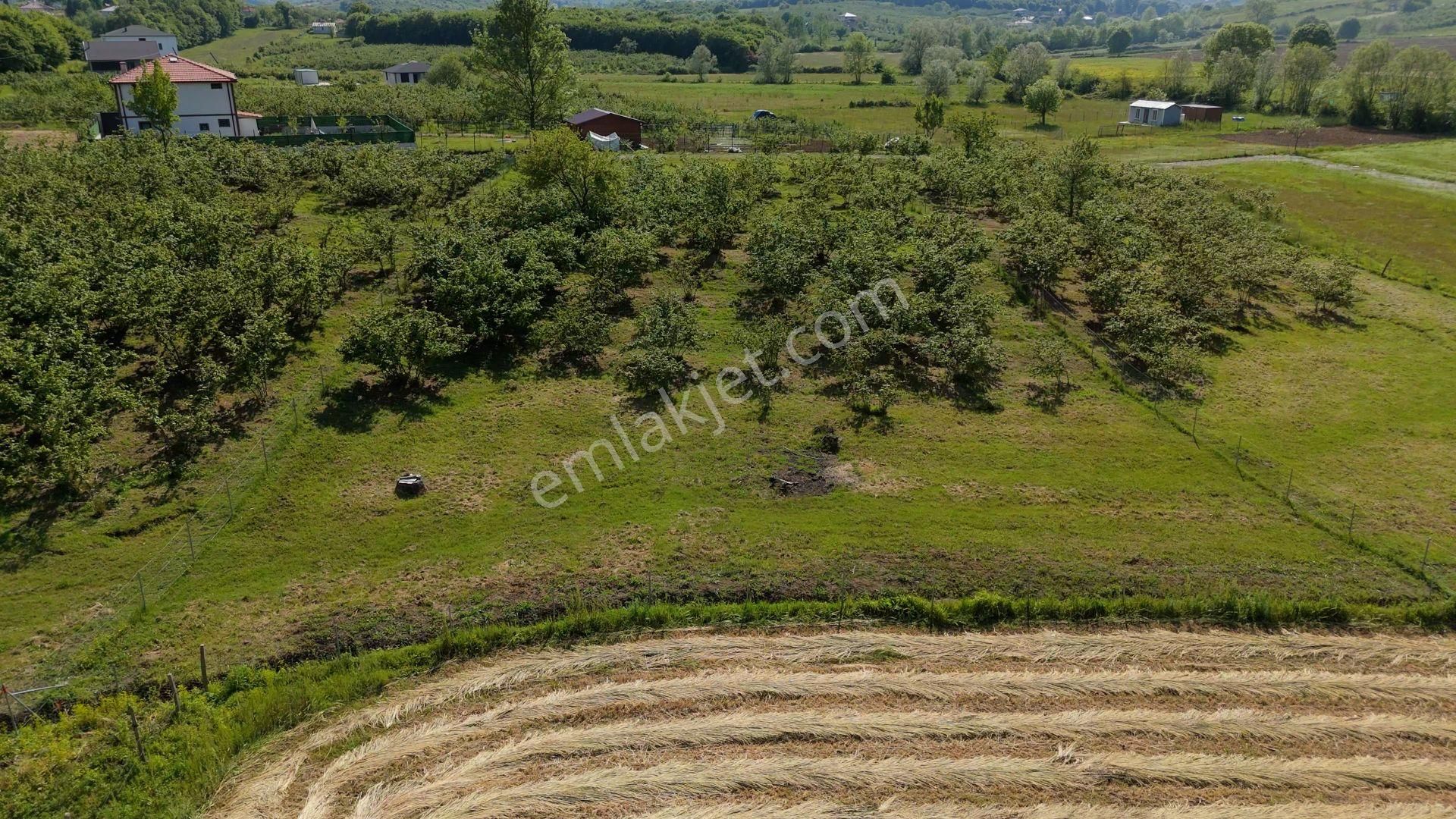 Karadeniz'de Plajlara Yakın 2583 M2 Arazi - Görsel 10