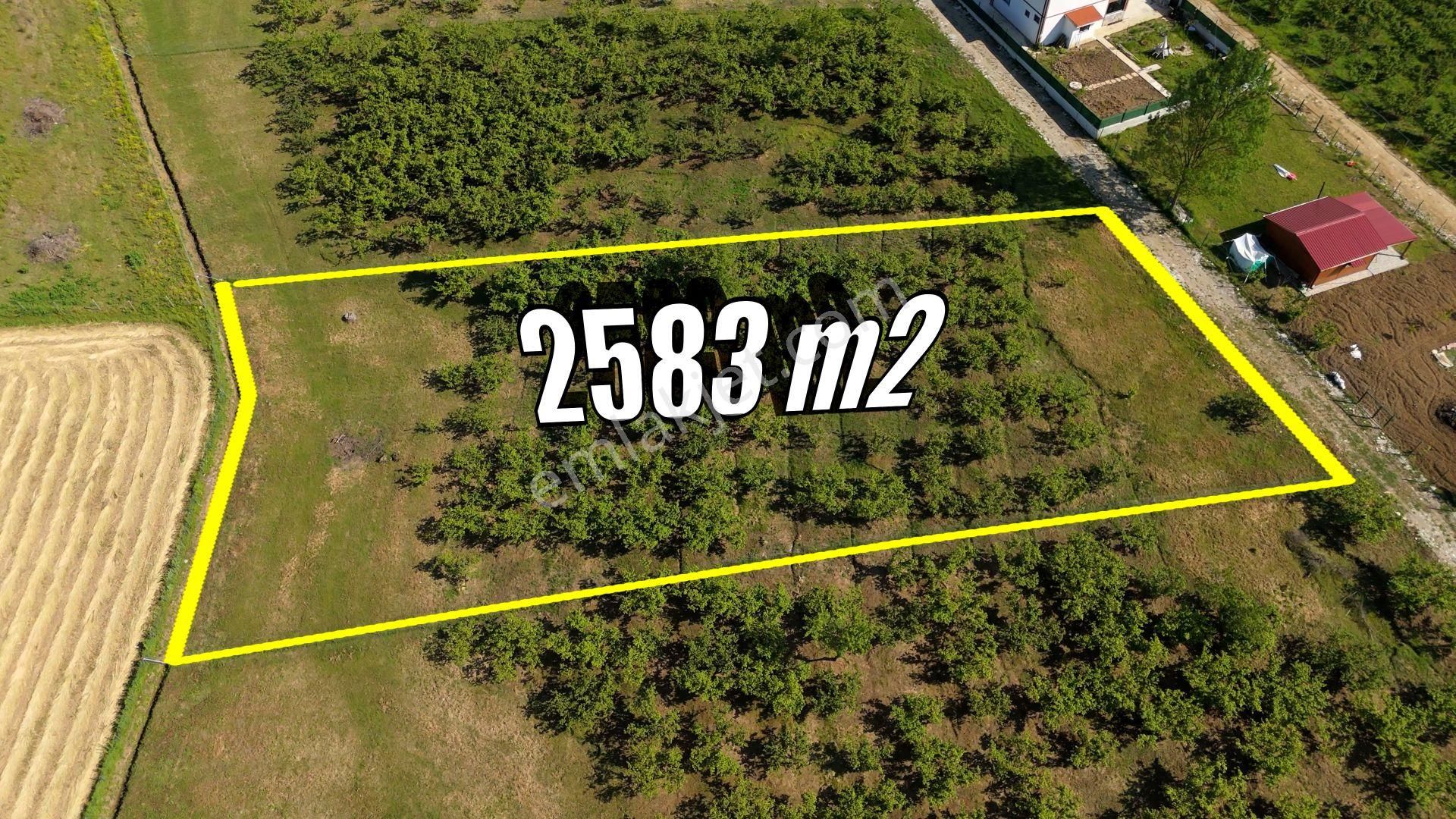 Karadeniz'de Plajlara Yakın 2583 M2 Arazi - Görsel 5