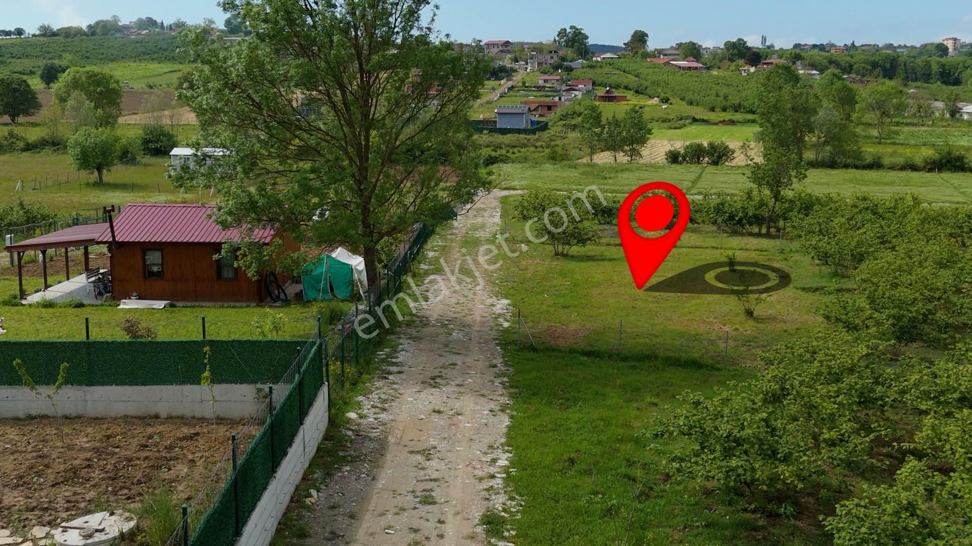 Karadeniz'de Plajlara Yakın 2583 M2 Arazi - Görsel 13