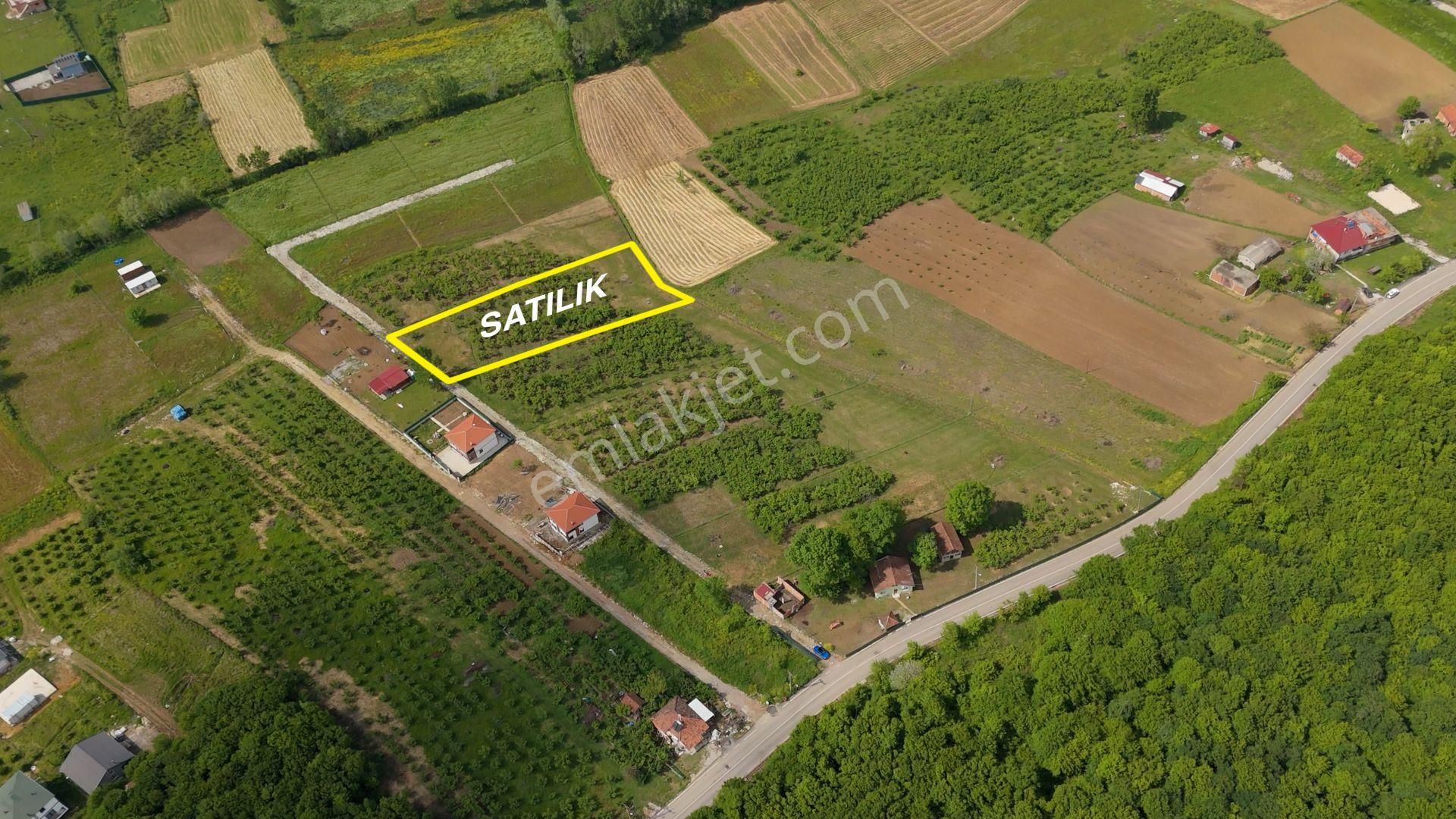 Karadeniz'de Plajlara Yakın 2583 M2 Arazi - Görsel 7