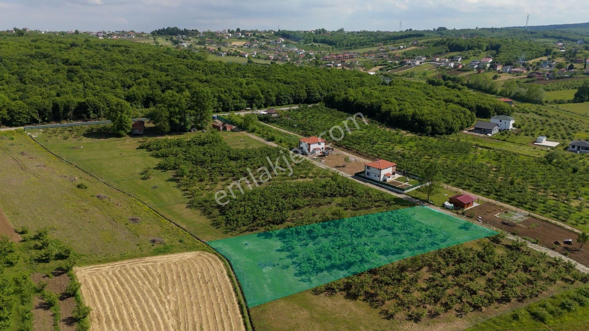 Karadeniz'de Plajlara Yakın 2583 M2 Arazi - Görsel 3