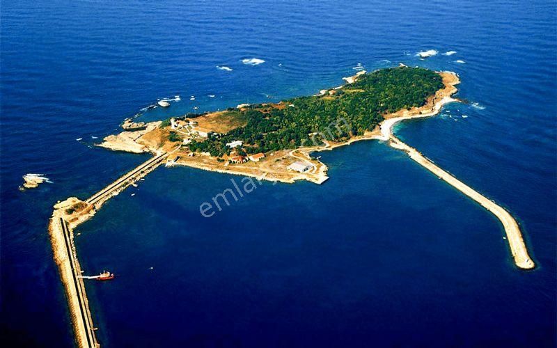 Karadeniz'de Plajlara Yakın 1089 M2 Satılık Arazi - Görsel 12