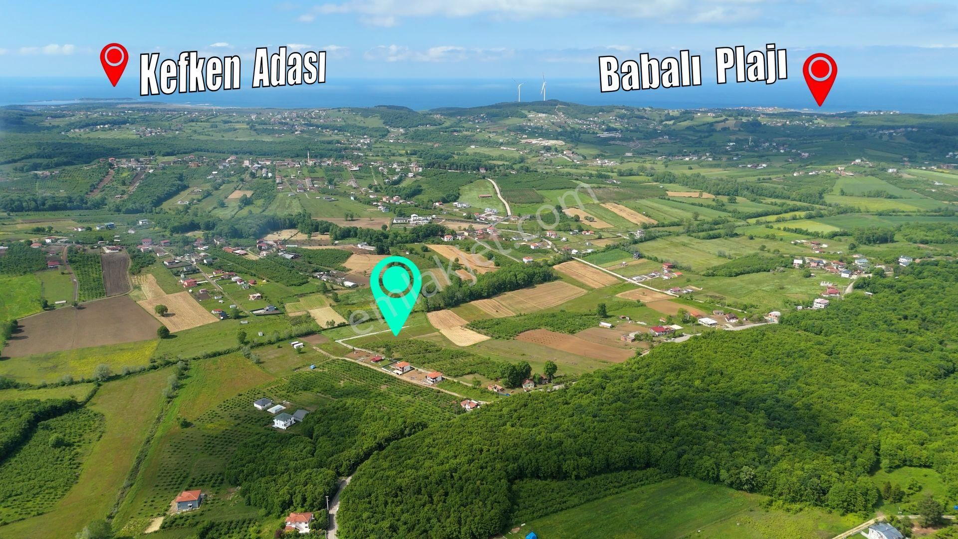 Karadeniz'de Plajlara Yakın 1089 M2 Satılık Arazi - Görsel 2