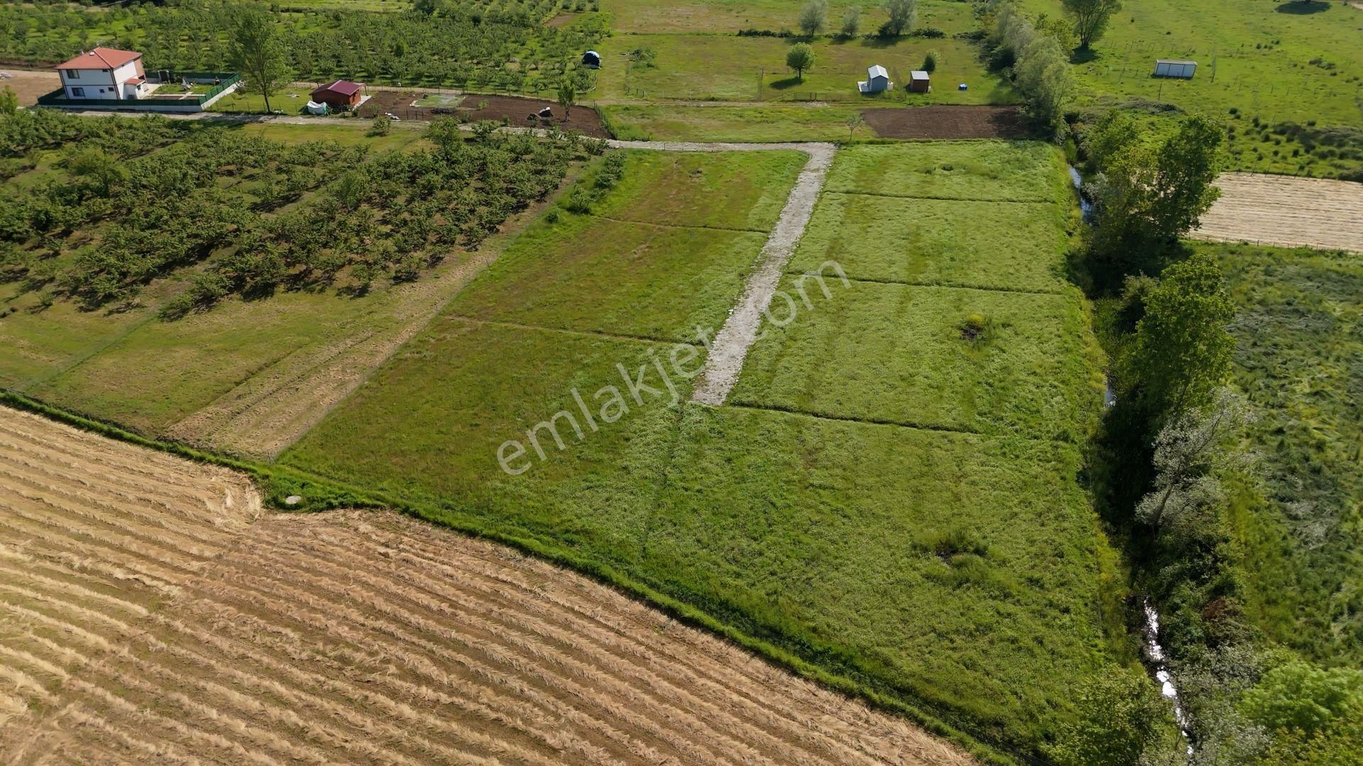 Karadeniz'de Plajlara Yakın 1089 M2 Satılık Arazi - Görsel 5