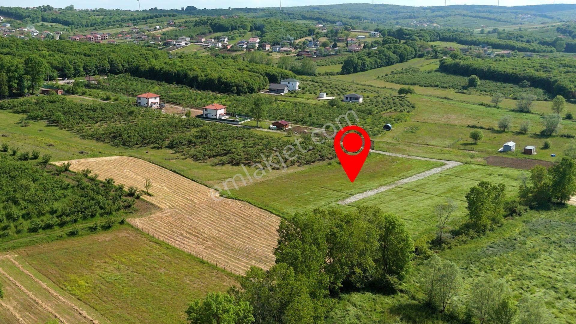 Karadeniz'de Plajlara Yakın 1089 M2 Satılık Arazi - Görsel 9