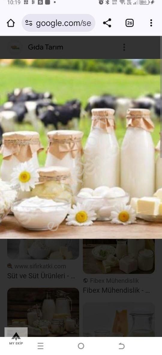 My Ekipdenbursa Yenişehir Marmaracıkta Hemgüzelhemhesaplıarazi.. - Görsel 12