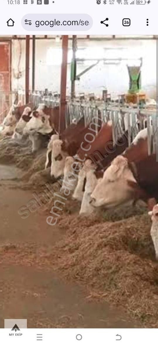 My Ekipdenbursa Yenişehir Marmaracıkta Hemgüzelhemhesaplıarazi.. - Görsel 26