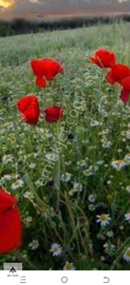 My Ekipdenbursa Yenişehir Marmaracıkta Hemgüzelhemhesaplıarazi.. - Görsel 13