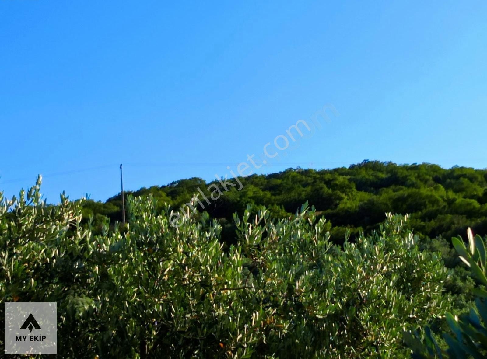 My Ekipdenbursa Yenişehir Marmaracıkta Hemgüzelhemhesaplıarazi.. - Görsel 21