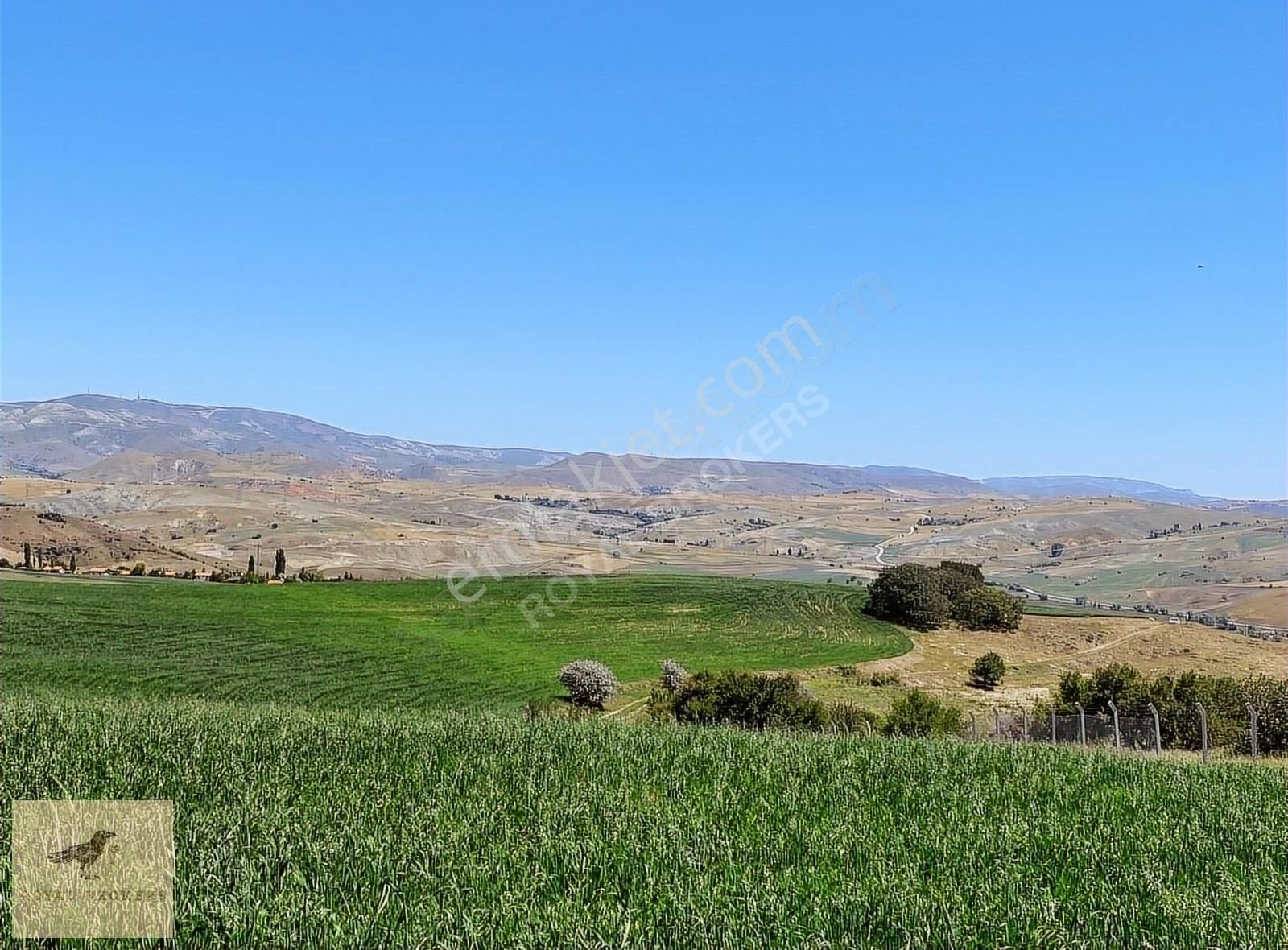 Satılık, Villa Arsası, Beynam Ormanının Hemen Önünde, 38 Dönüm