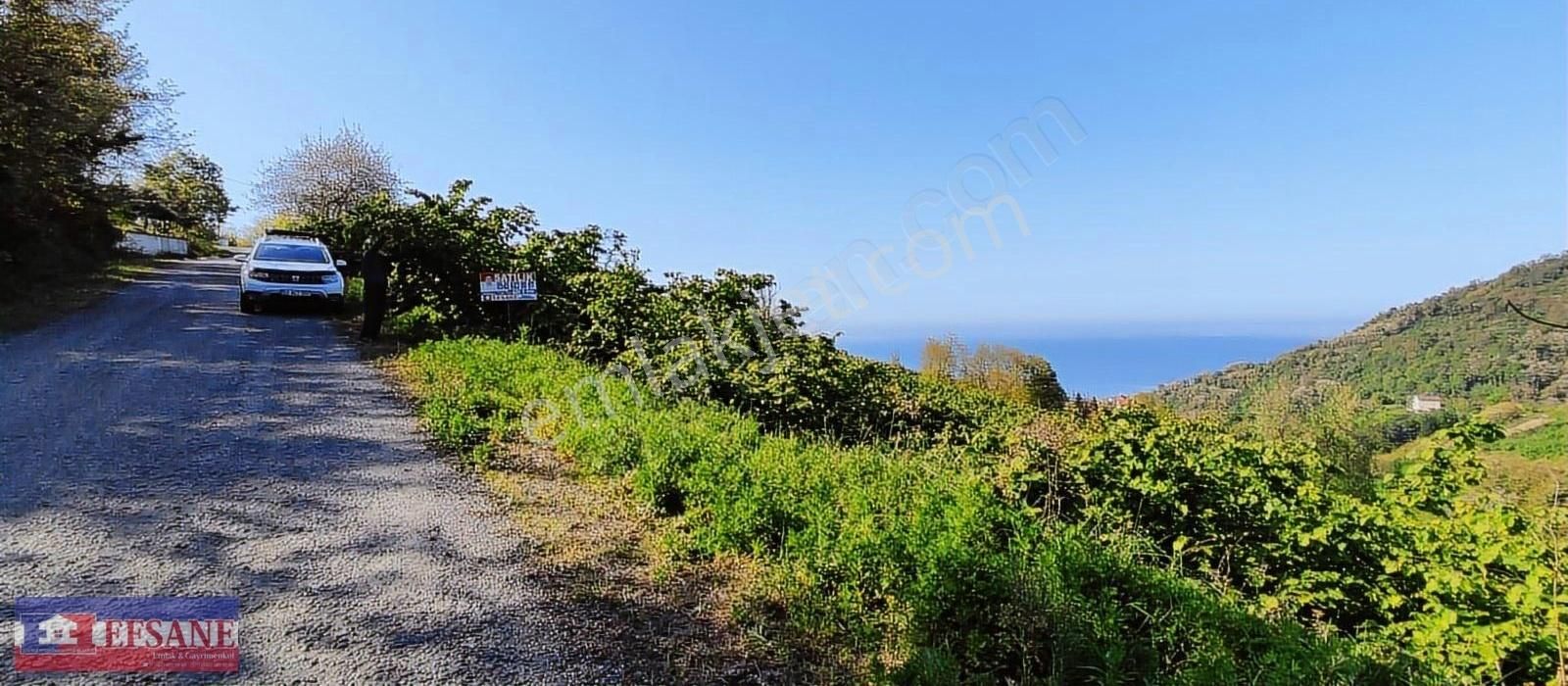 Perşembe Çaytepe De Deniz Manzaralı Ev' Lik Arazi