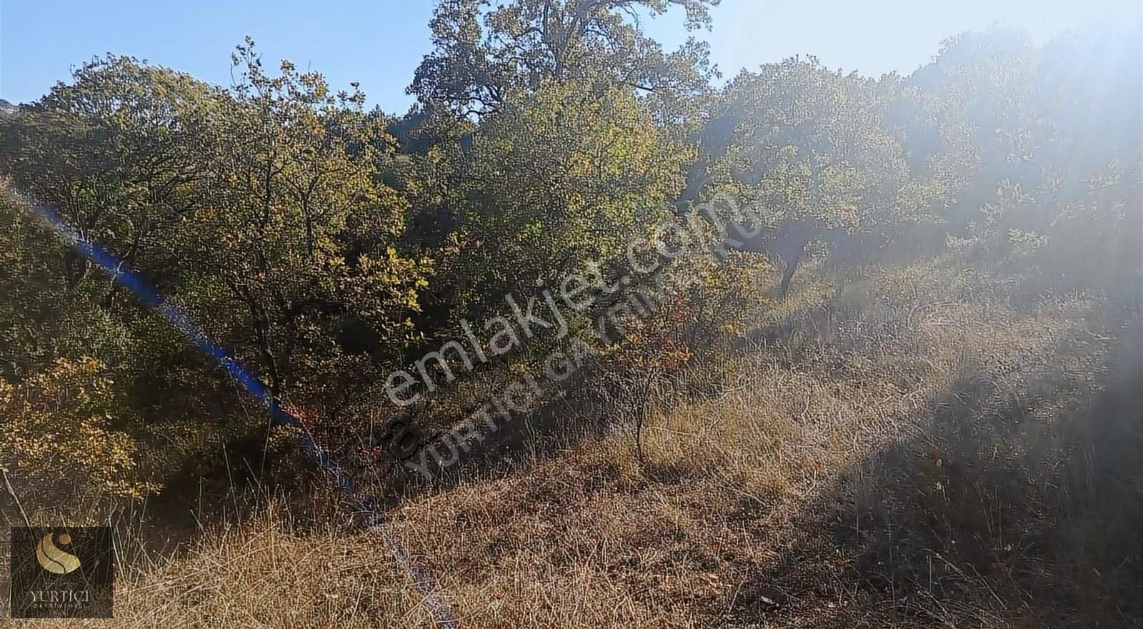 Yurtiçi Gayrimenkul'den Çanakkale Biga 2800m² Yatırımlık Arazi - Görsel 4