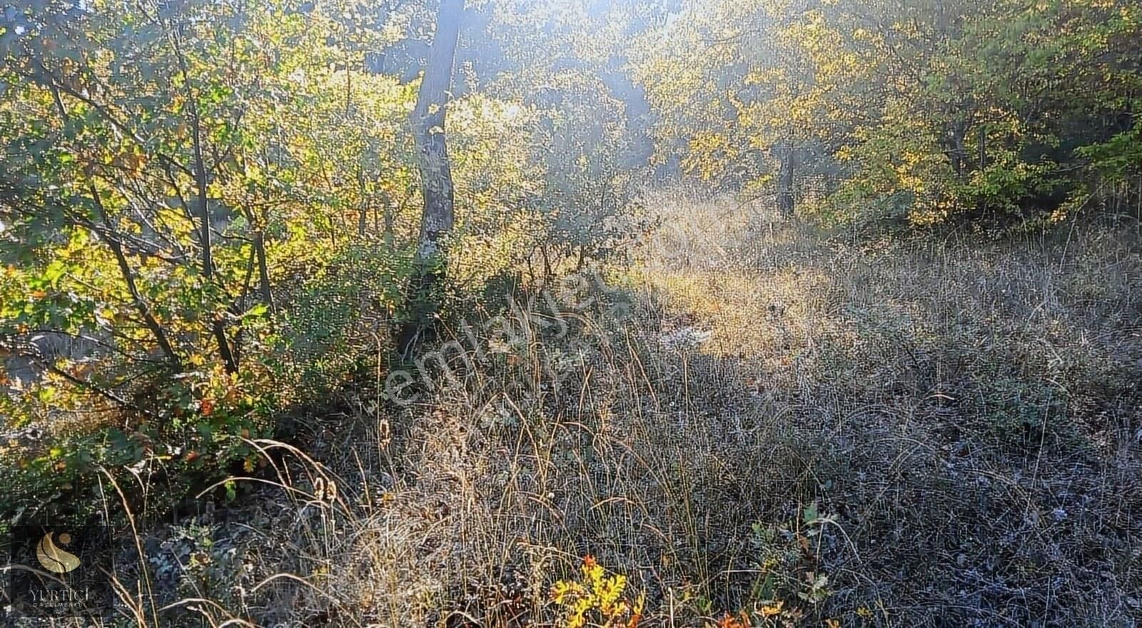 Yurtiçi Gayrimenkul'den Çanakkale Biga 2800m² Yatırımlık Arazi - Görsel 8