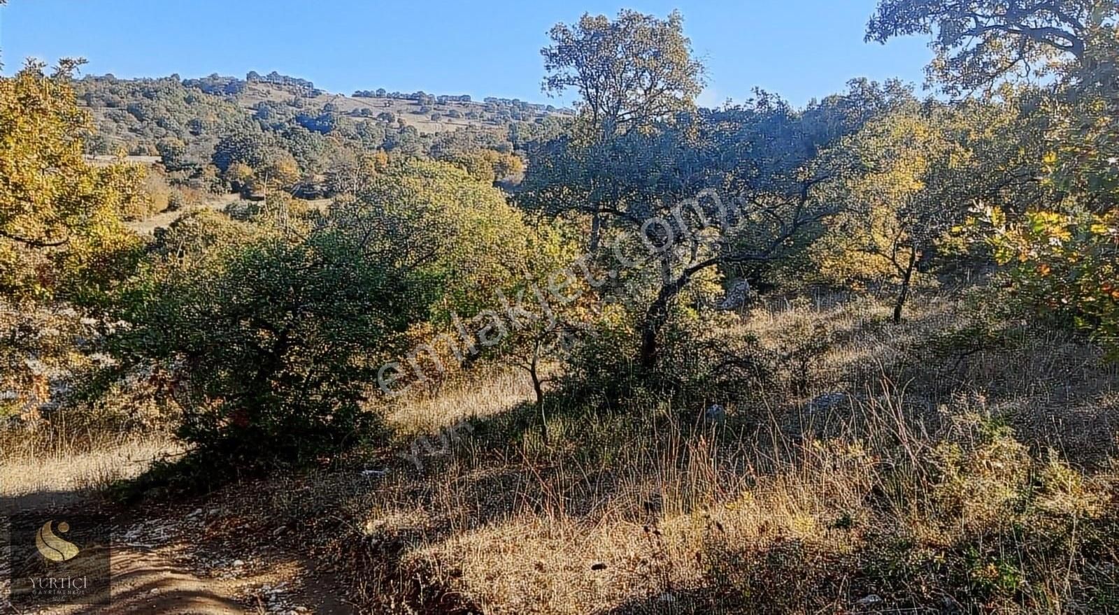 Yurtiçi Gayrimenkul'den Çanakkale Biga 2800m² Yatırımlık Arazi - Görsel 3