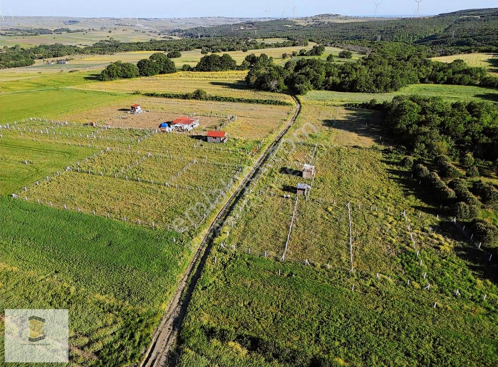 İstanbul Silivri Büyüksineklide Çevrili 300m2