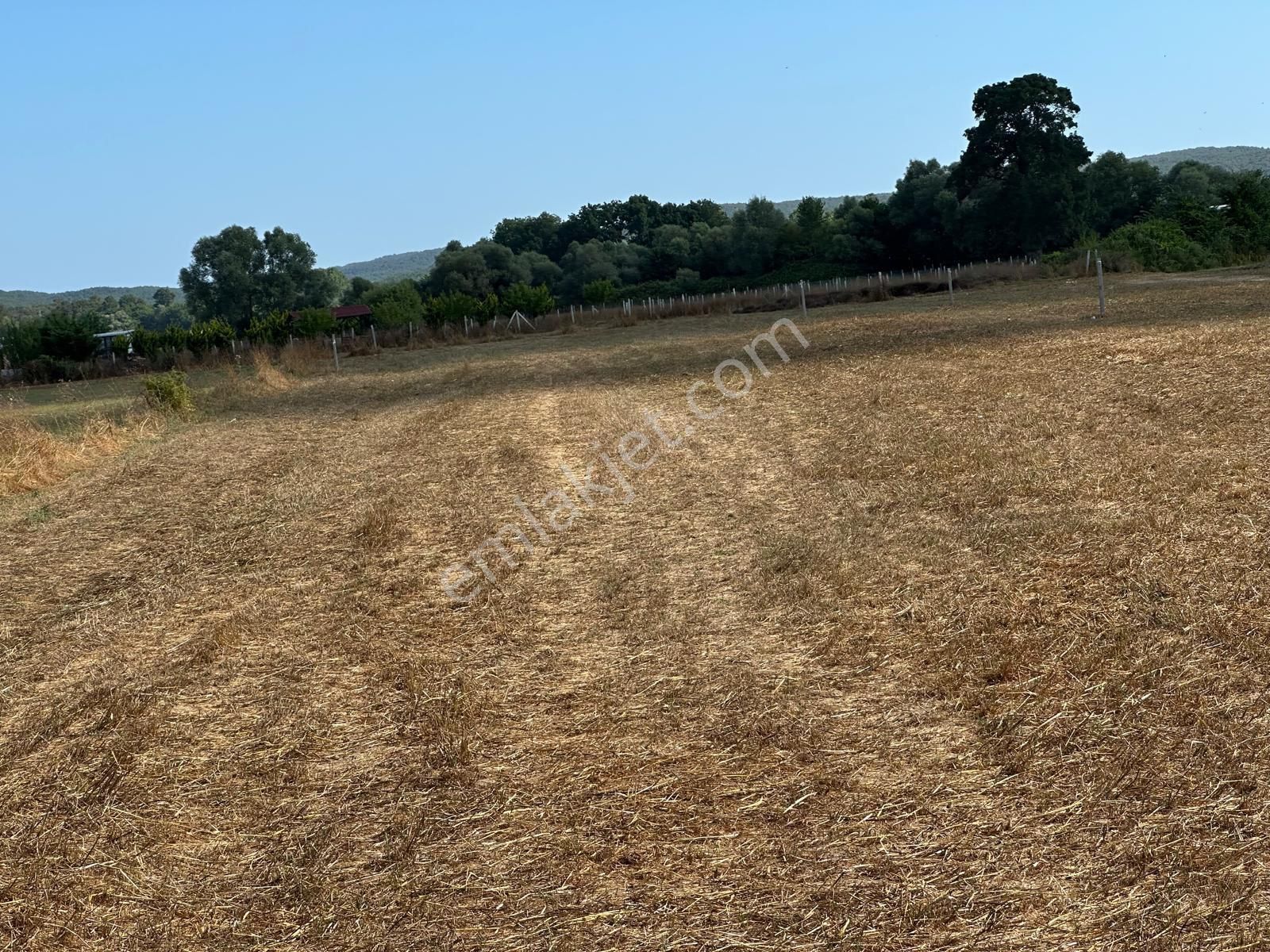 Çatalca Belgrat 842metre Çaplı Muvafakatnameli - Görsel 5