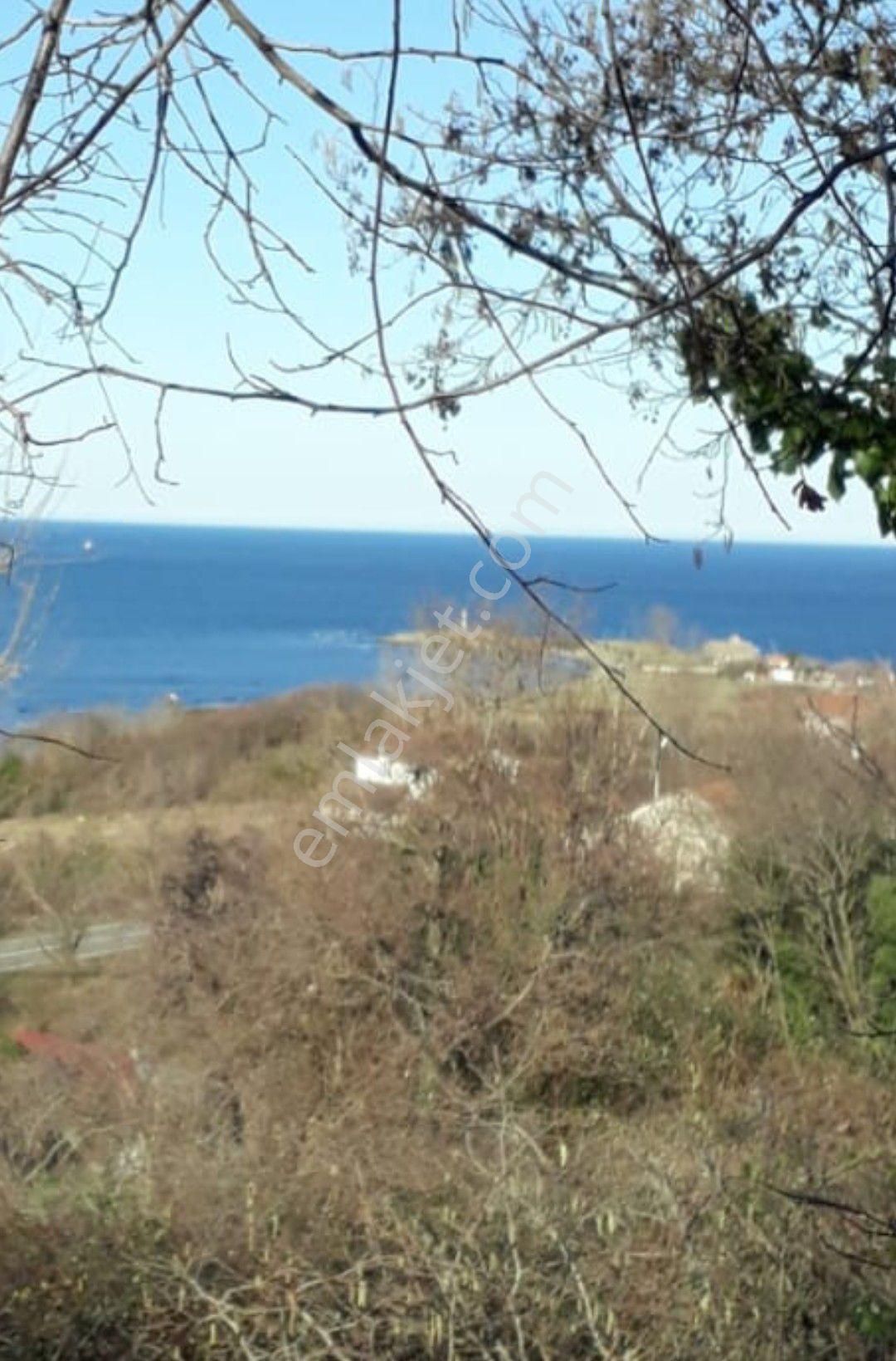 Perşembe Caytepe Satılık İmarlı Bahçe. - Görsel 3