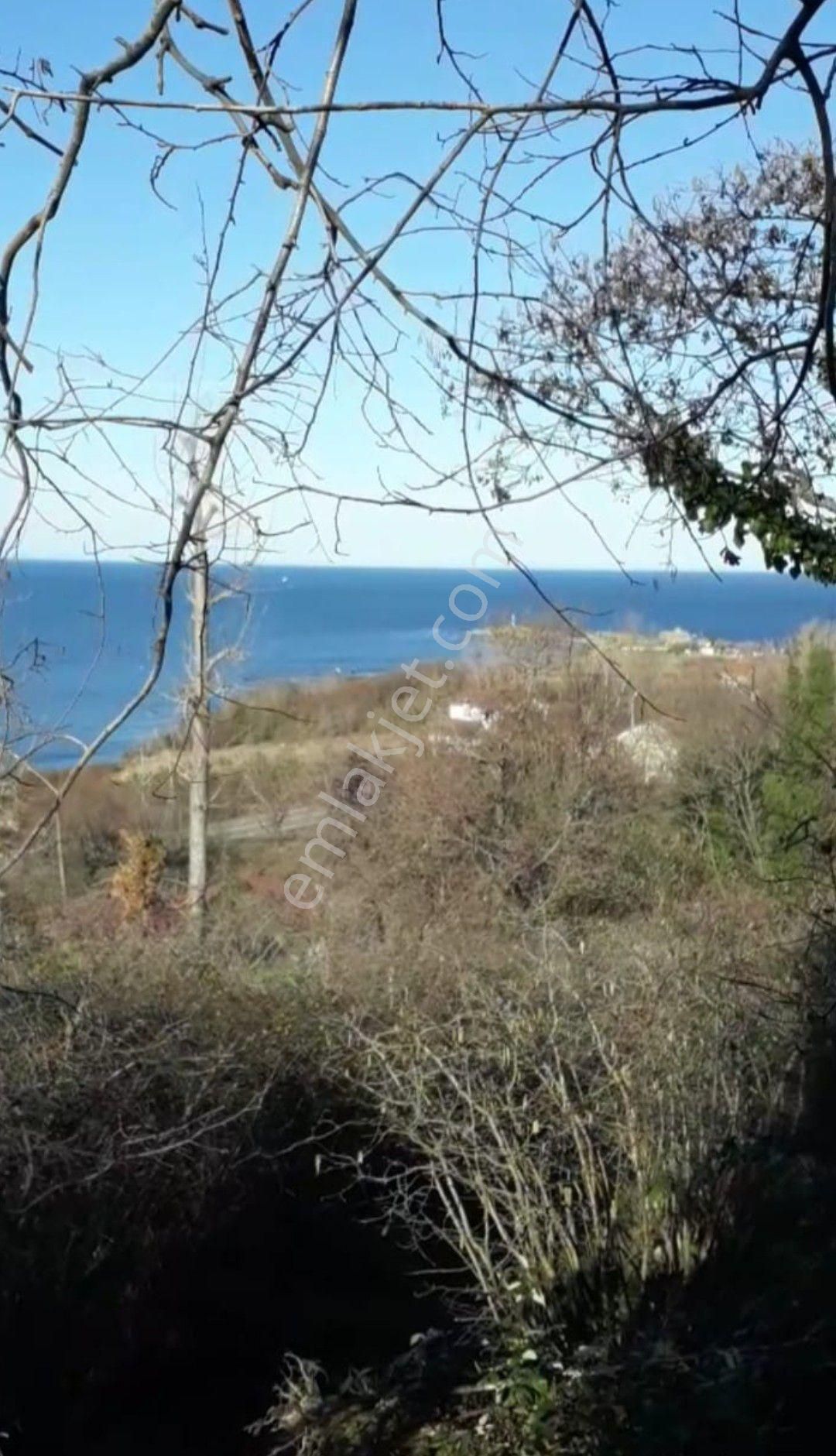 Perşembe Caytepe Satılık İmarlı Bahçe. - Görsel 6