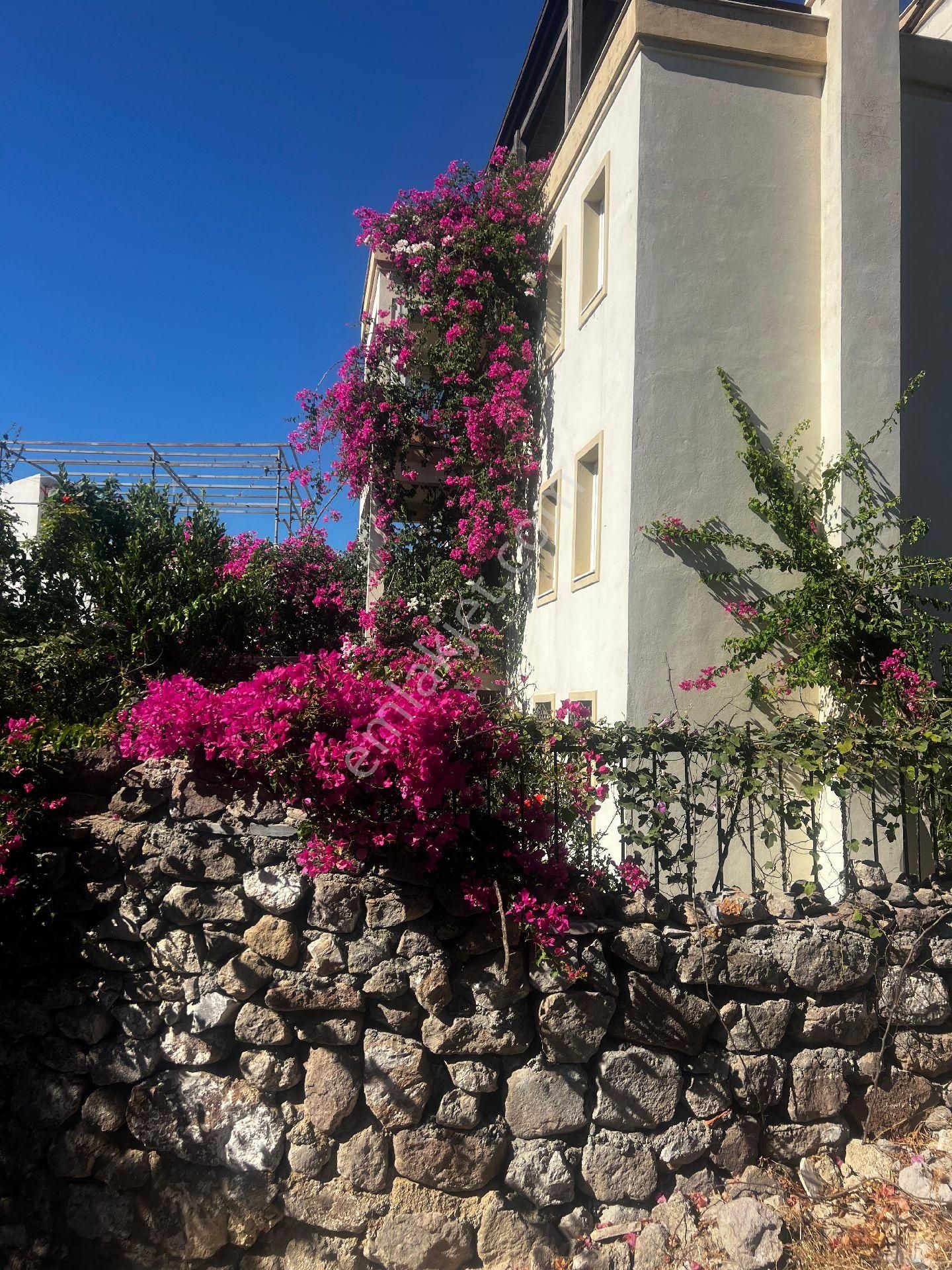 Bodrum Gümüşlük Te Acil Satılık İkiz Dublex