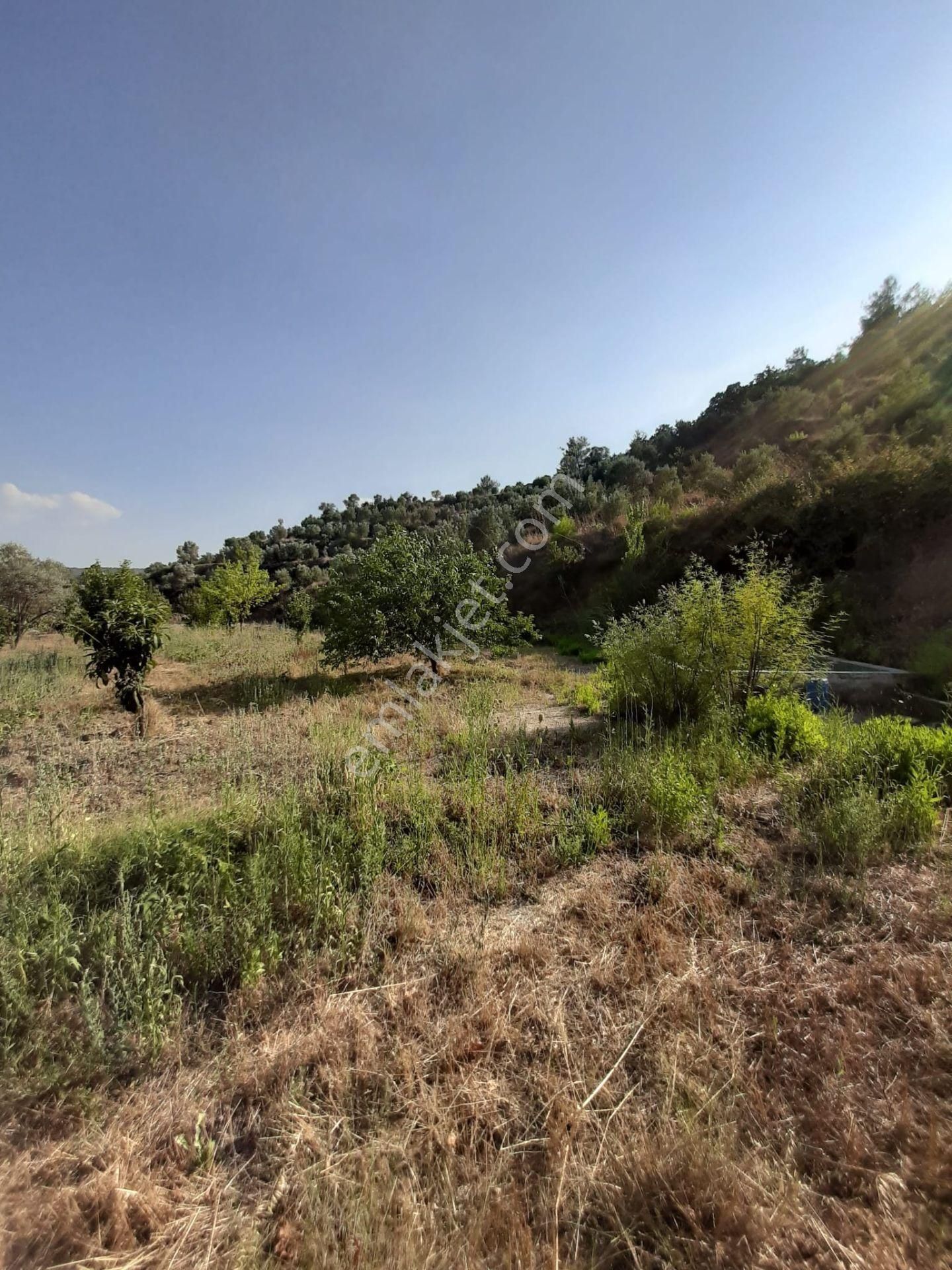 Yeniköyde Satılık Tarla - Görsel 6