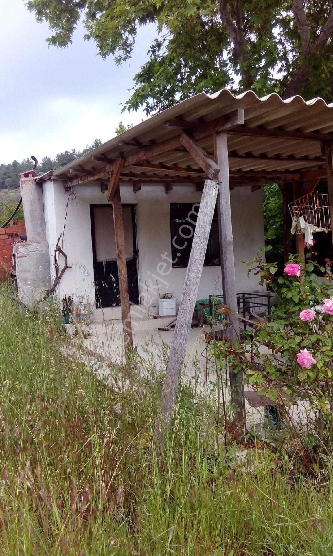 Yeniköyde Satılık Tarla - Görsel 5