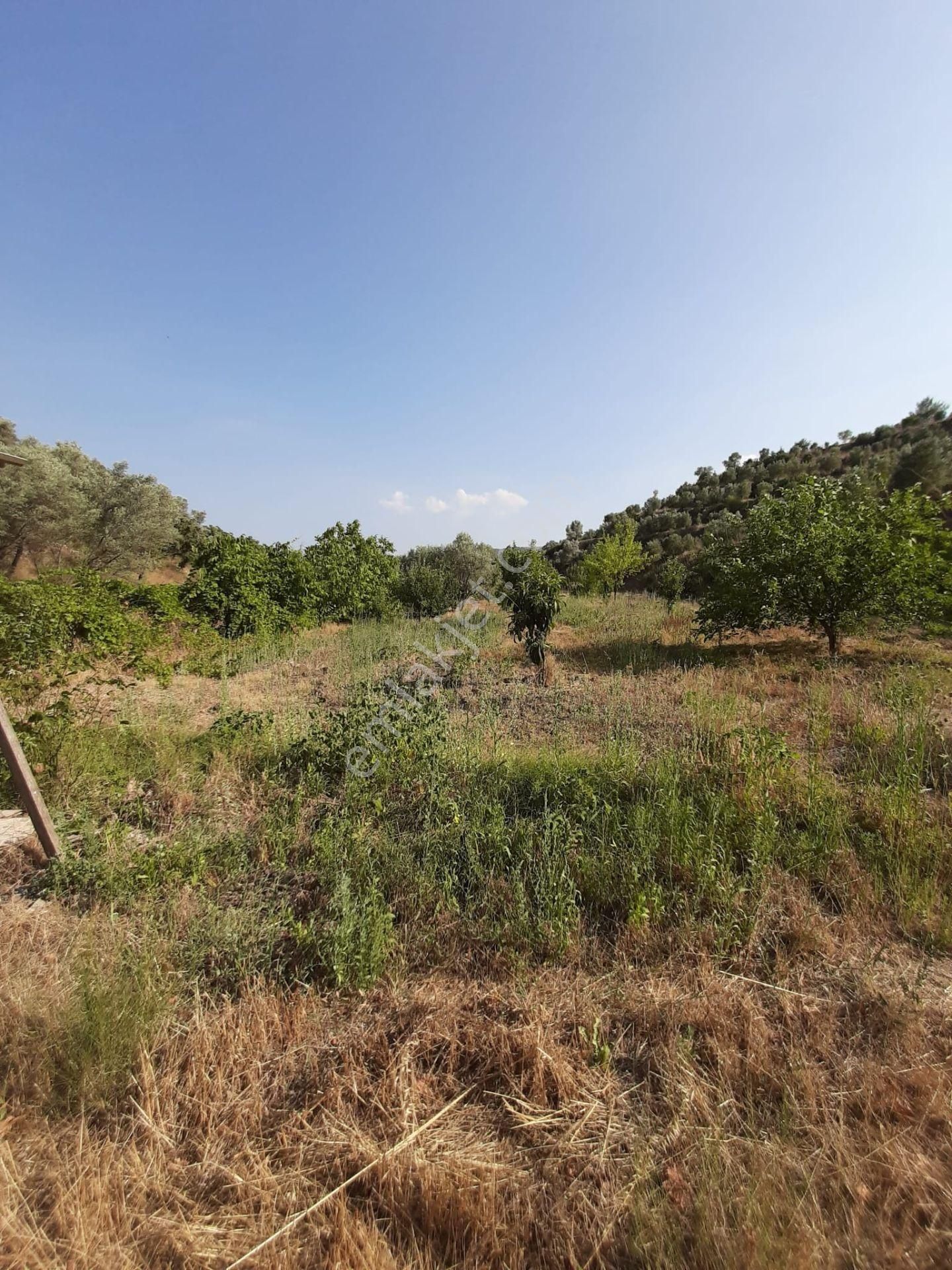 Yeniköyde Satılık Tarla
