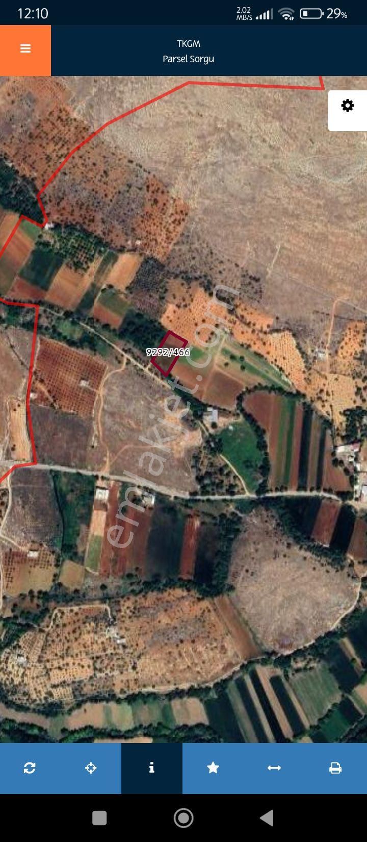 Bayramlıda Kupon Araz